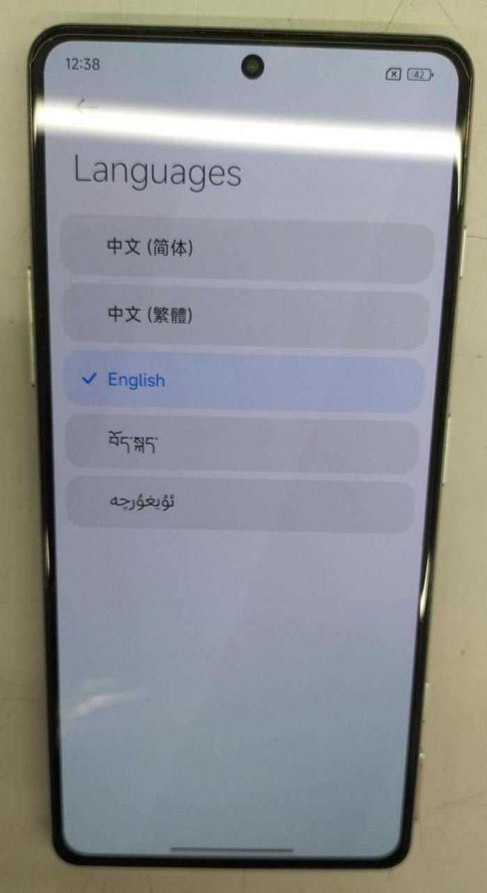 日本語設定不可