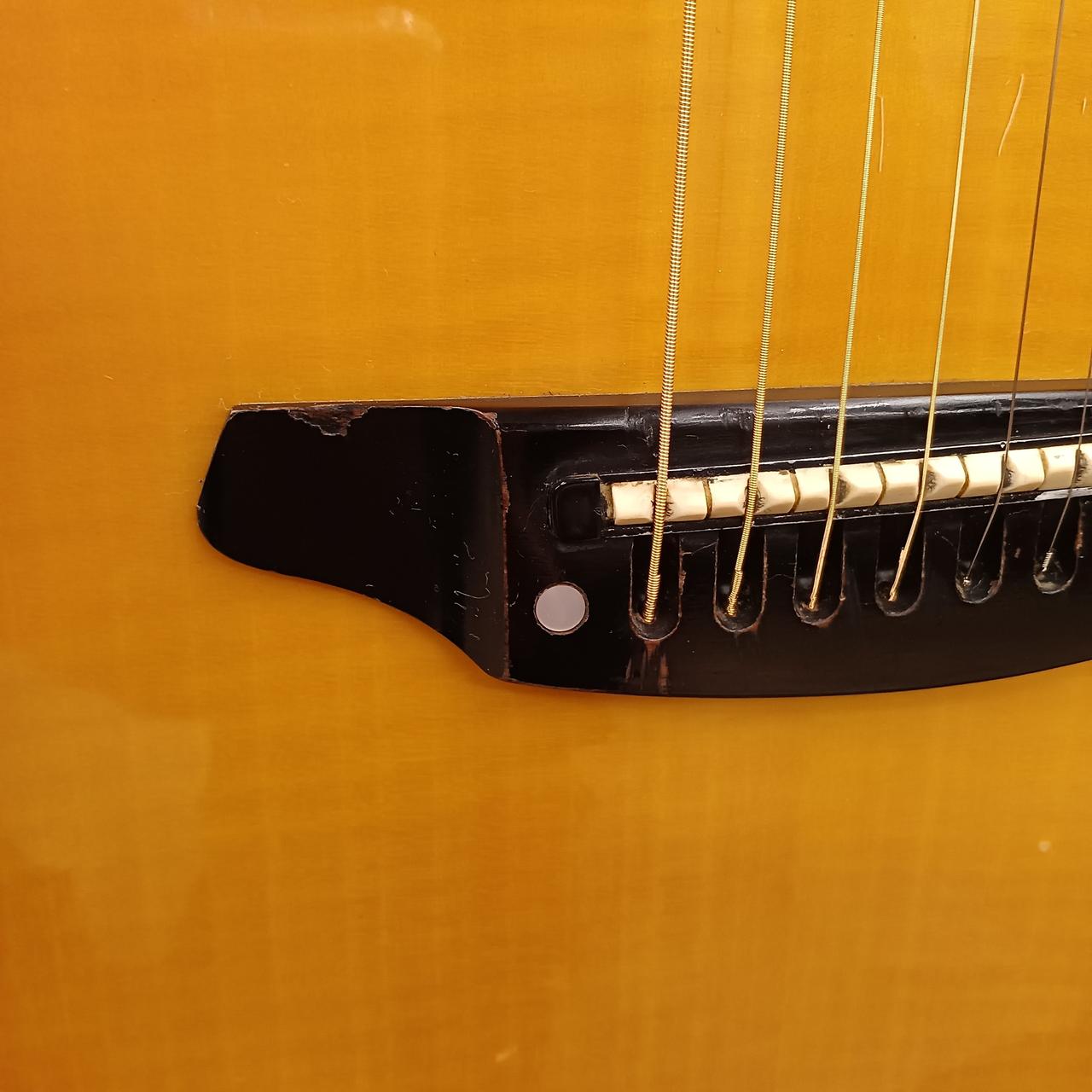 Morris TR701 エレアコ ハードケース付（ワンオーナー）禁煙室内