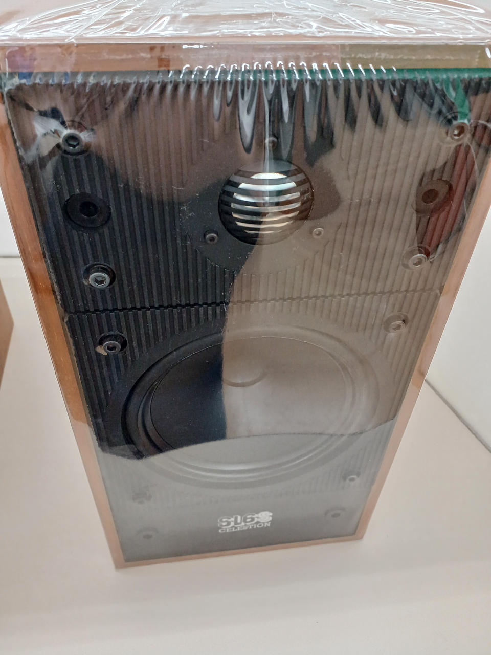 Amazon | 【国内正規品】 CELESTION セレッション ギターアンプ
