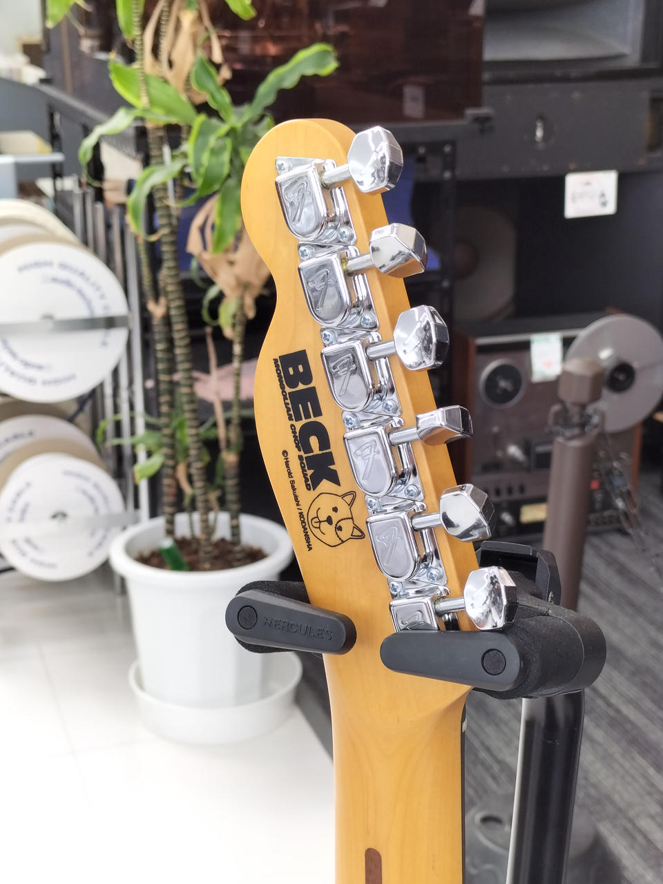 フェンダージャパン(FENDER JAPAN)|テレキャスター|HARDOFFオフ