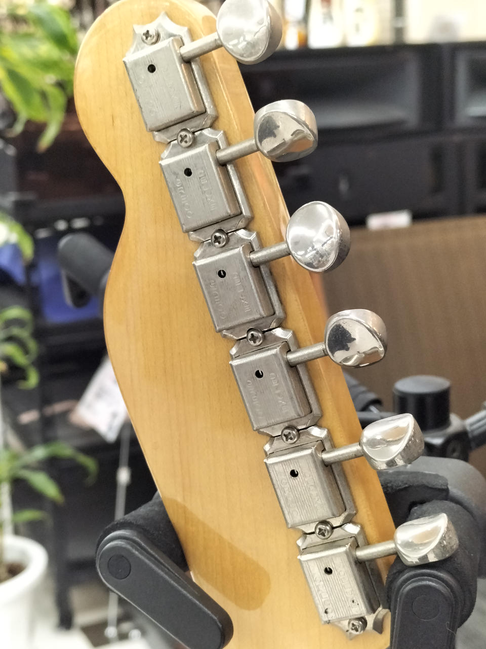 グレコ(GRECO)|テレキャスターシンライン|HARDOFFオフモール（オフモ