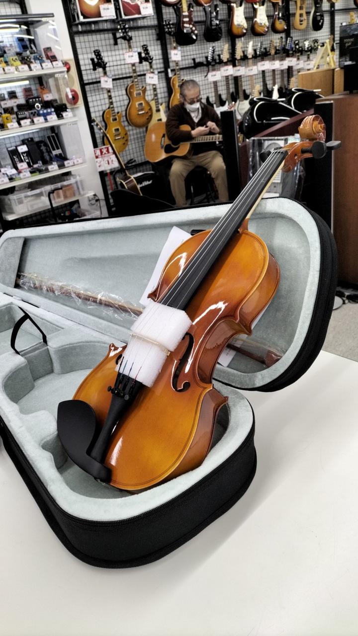 SILVIO|4/4サイズ ヴァイオリン|【ハードオフ公式通販】オフモール