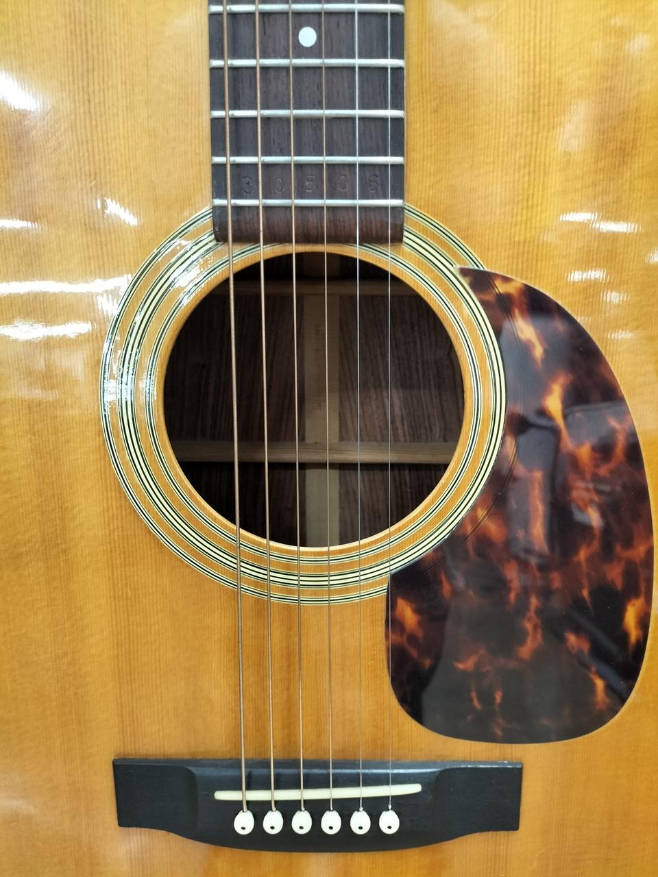 アコースティックギター　jumbo 楽天市場】jumbo advanced（アコースティックギター｜ギター