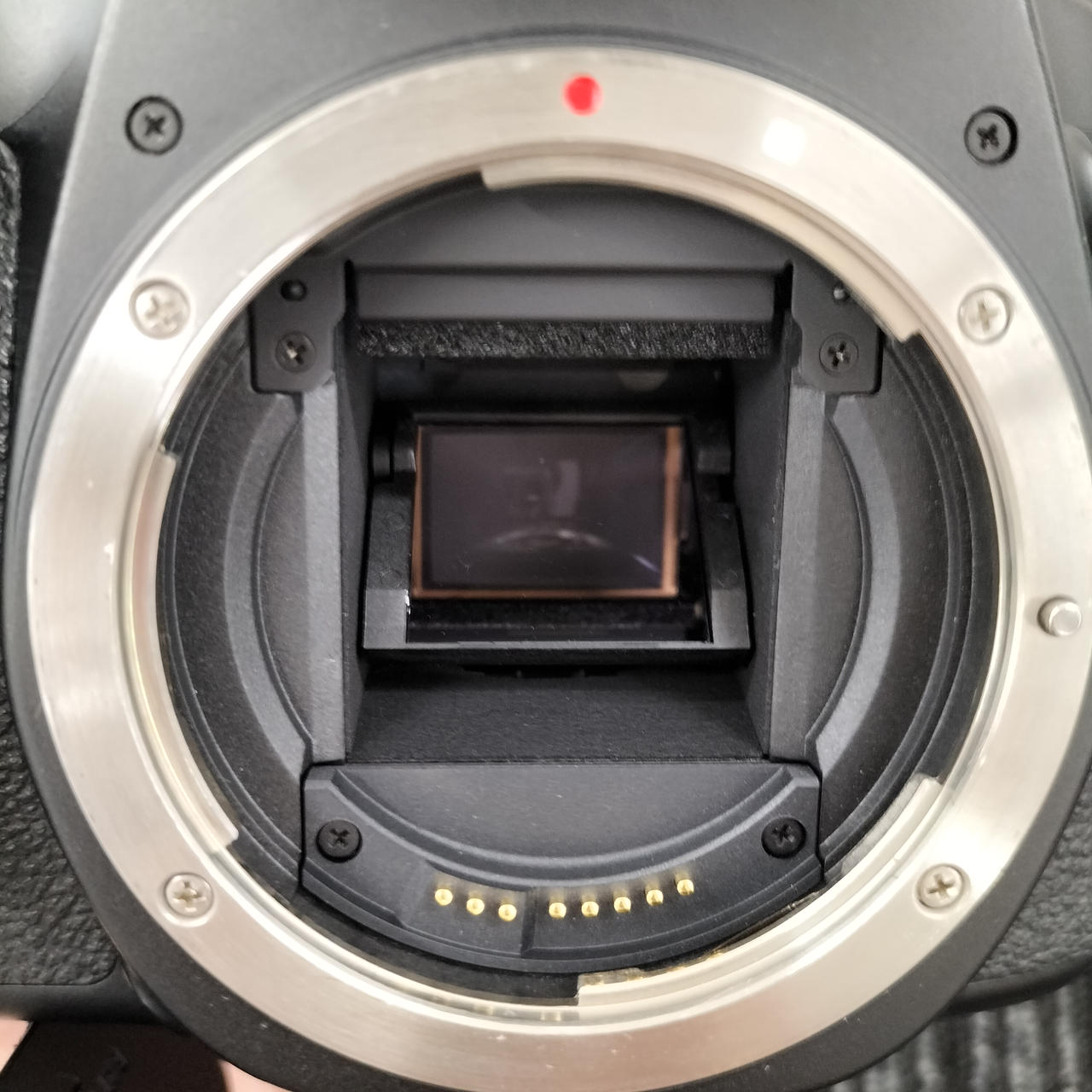 CANON|【ボディのみ】EOS 70D|【ハードオフ公式通販】オフモール
