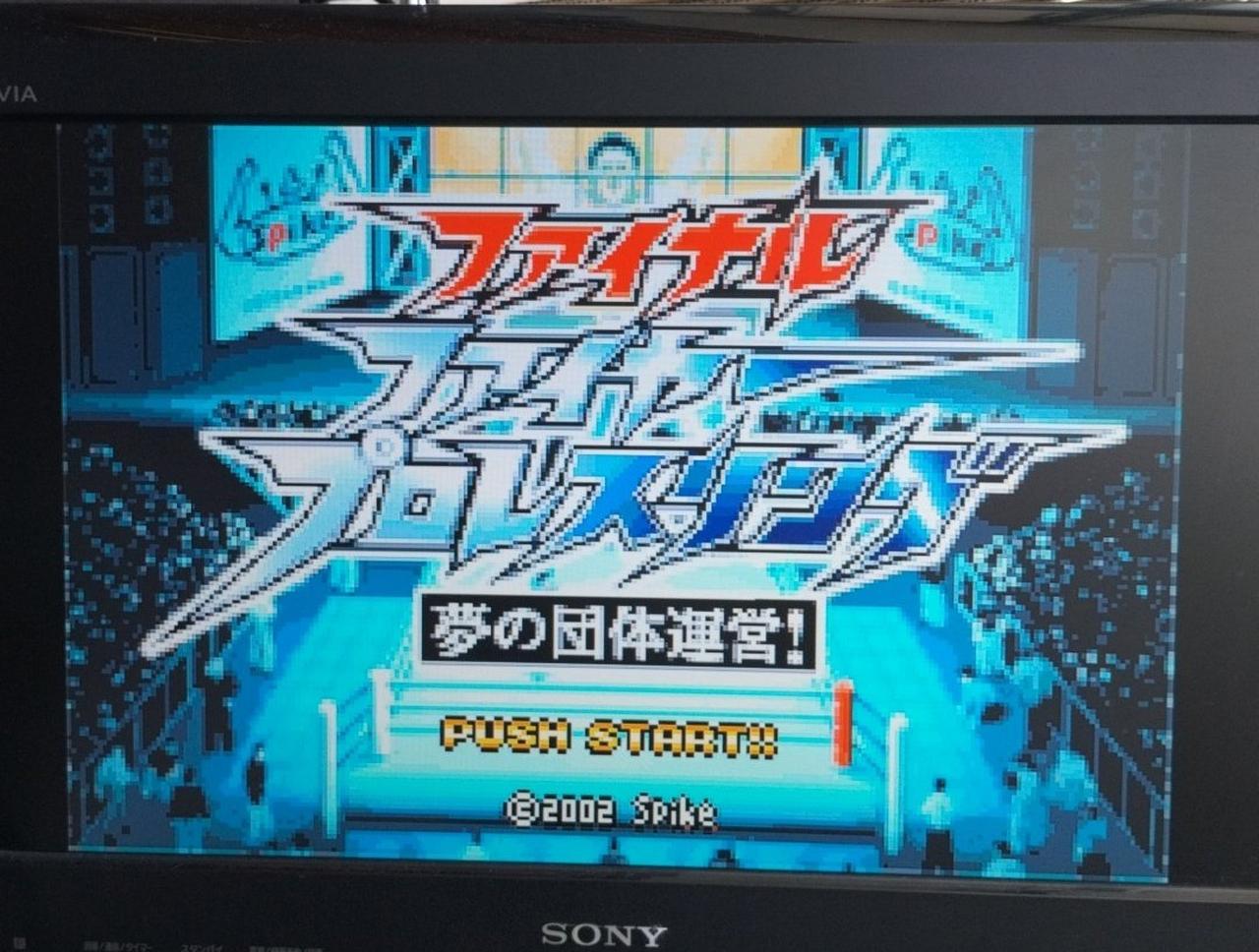 スパイク|ファイナルファイヤープロレスリング～夢の団体運営