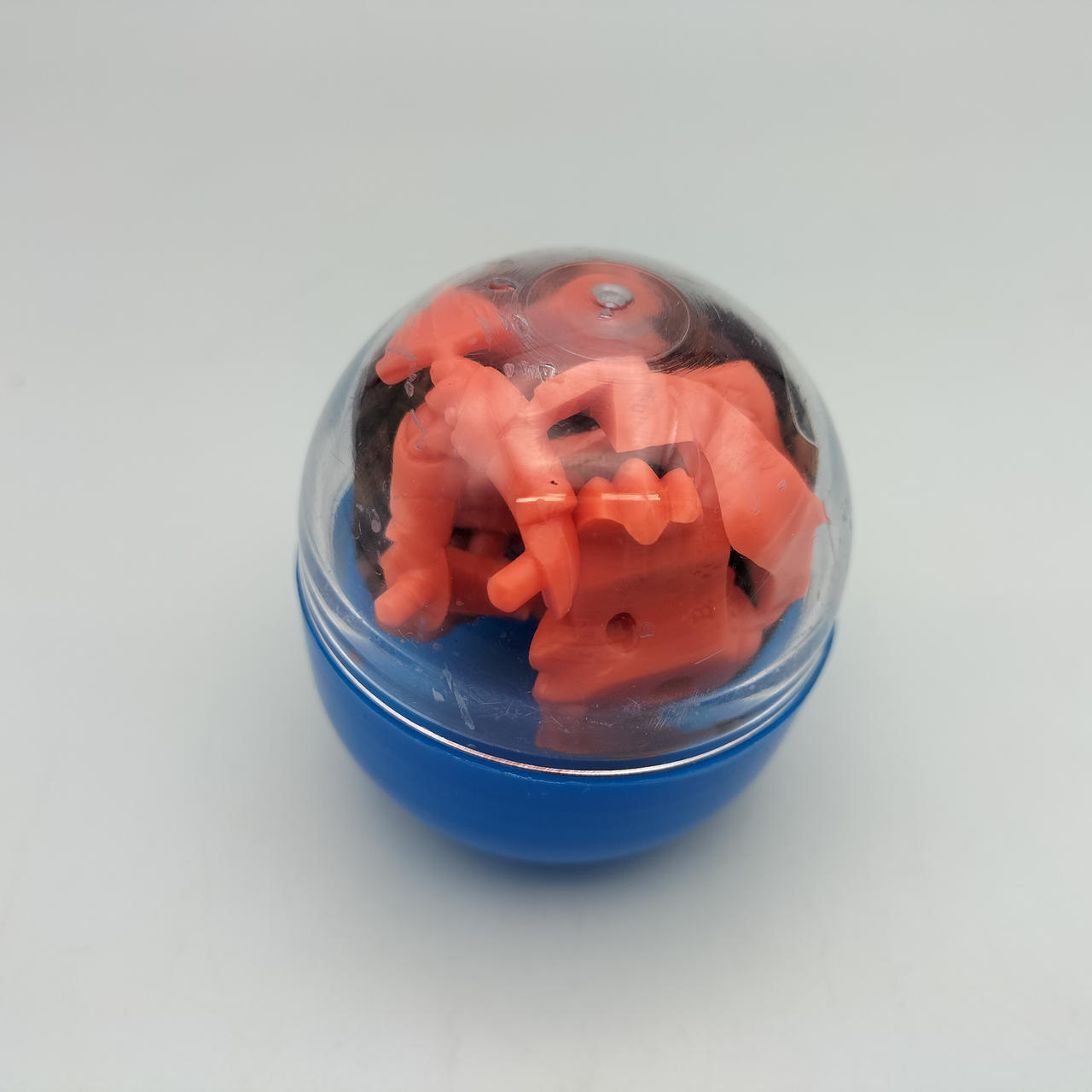 本体、未切断です。