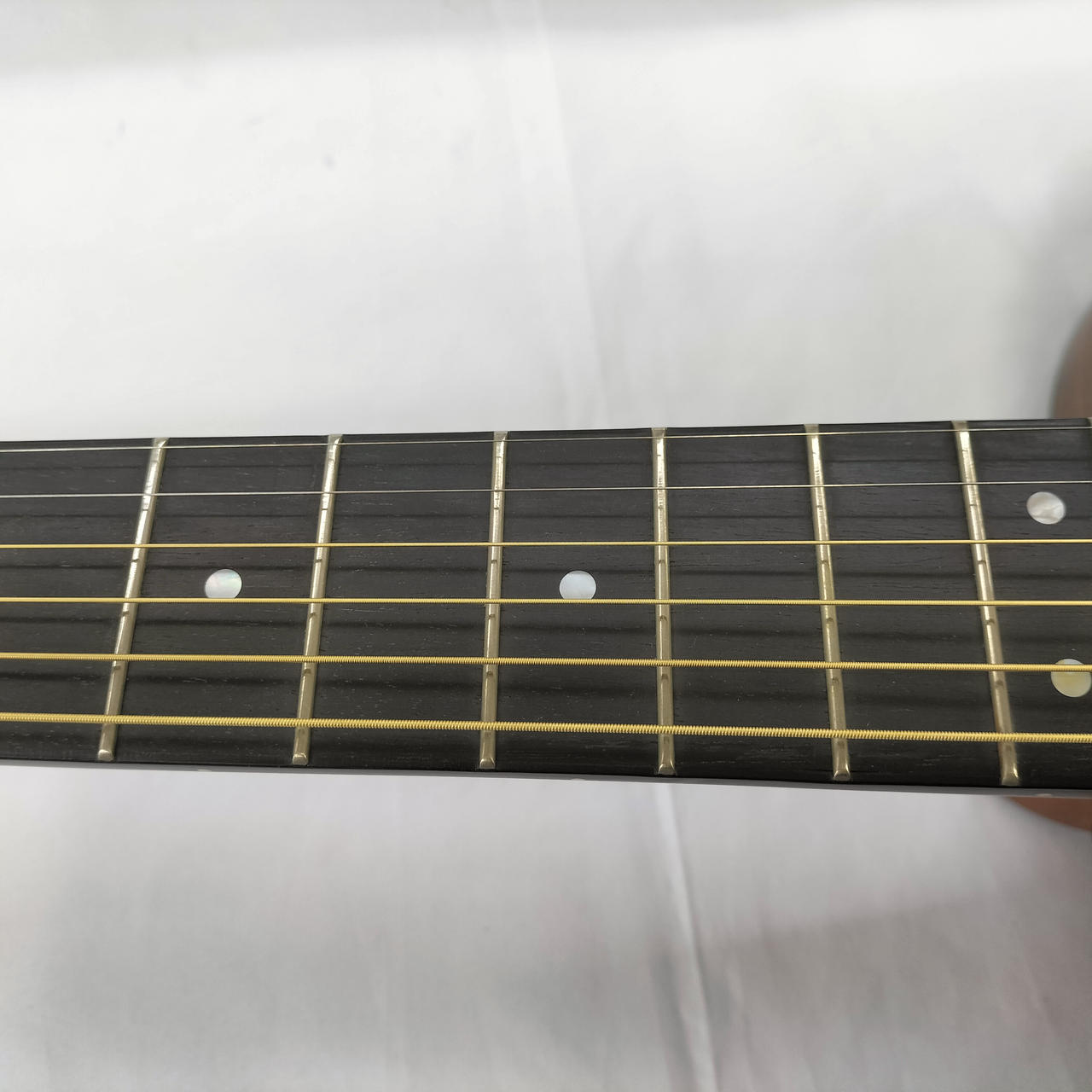 Morris M-51NAT & ギターバック Morris M-51NAT & ギターバック