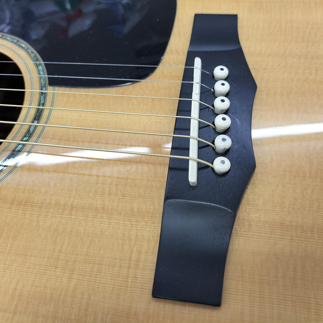 Morris M-51NAT & ギターバック Morris M-51NAT & ギターバック