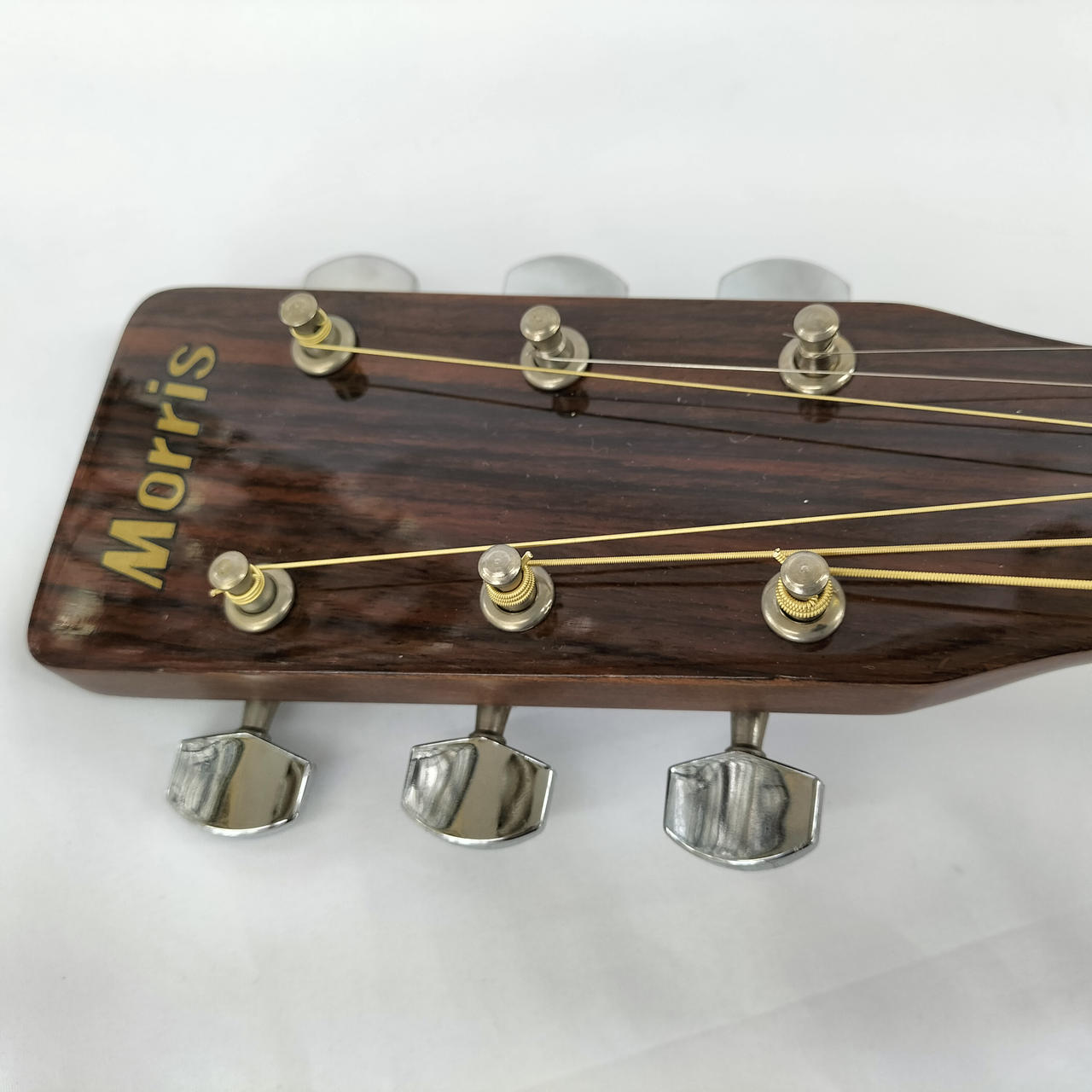 Morris モーリス アコースティックギター MD-502 MD-502 | 生産完了品 | MORRIS GUITARS モーリスギター