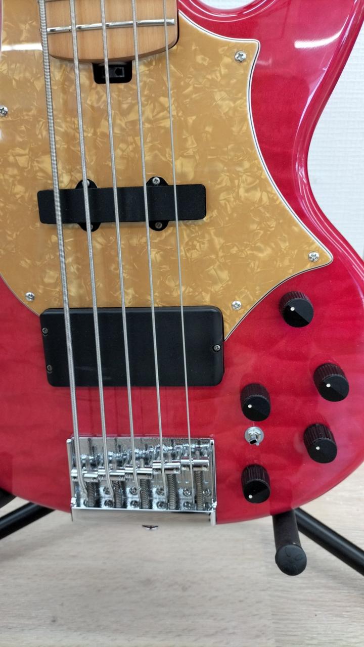 美品 メンテ済 GrassRoots G-T-80BD 5弦アクティブベース 美品】 Grass roots by ESP G-T-80BD Tetsuya - メルカリ