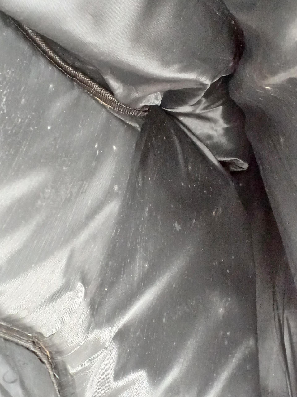 ケース中、カビあり