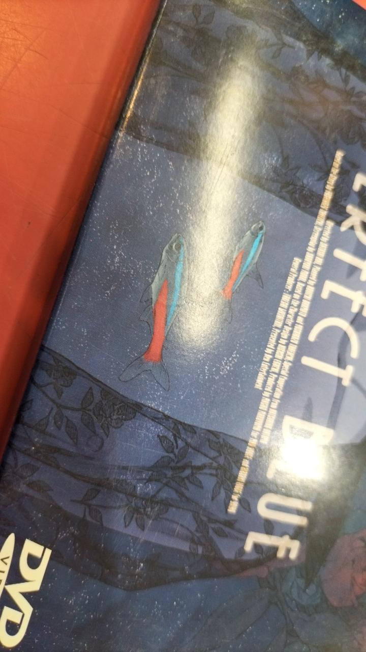 ケーススレあり