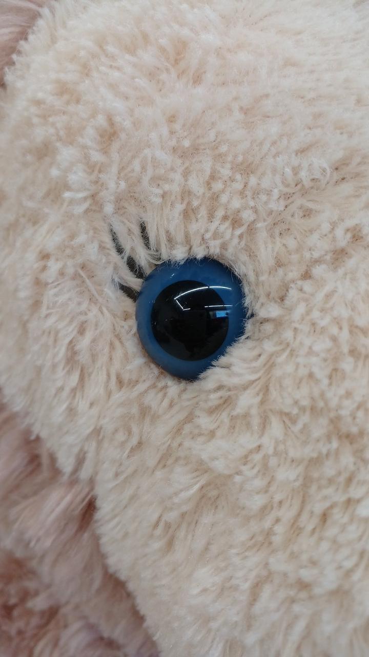 黒目付近、傷あり