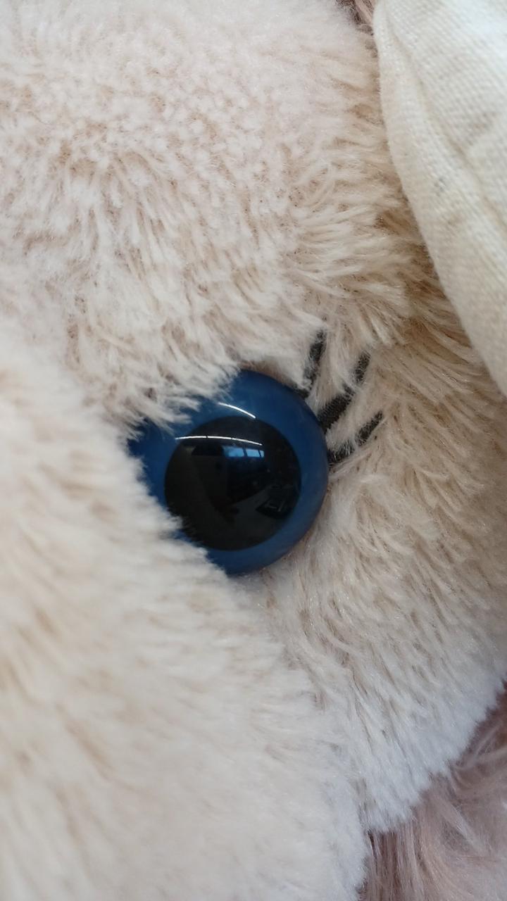 黒目付近、傷あり