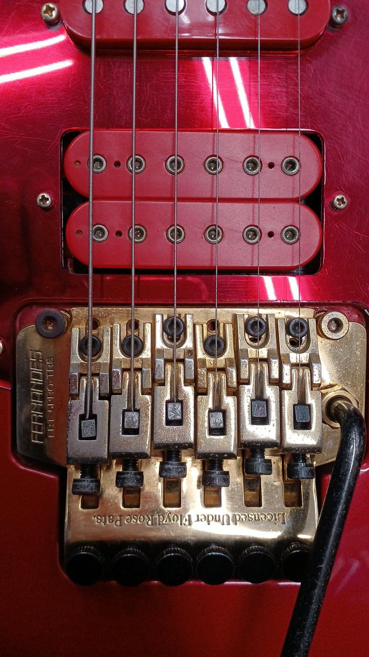 ソフトカバー付きエレキギターFERNANDES ソフトカバー付きエレキギターFERNANDES ソフトカバー付きエレキギター