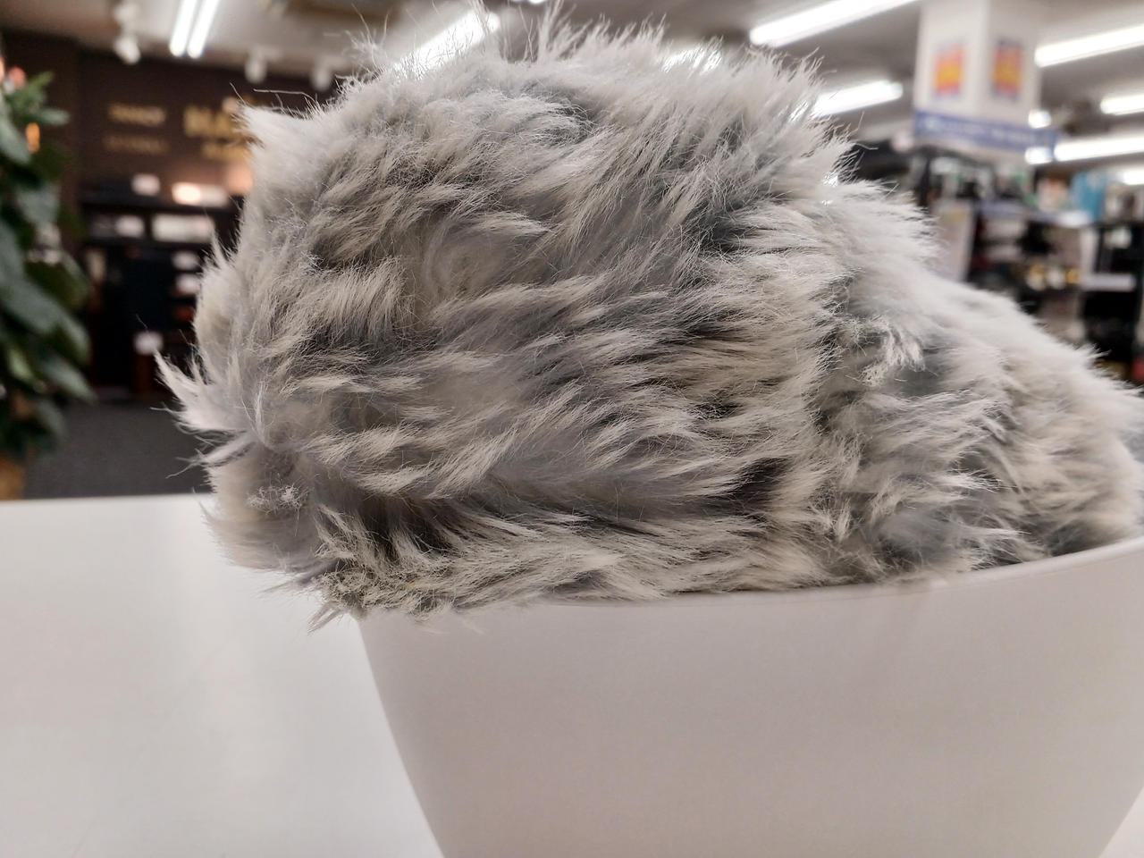 CASIO|MOFLIN|【ハードオフ公式通販】オフモール|2014330000004806