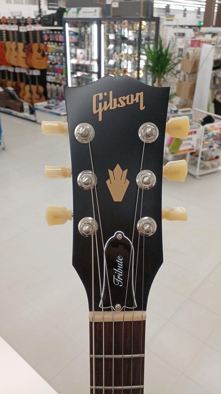 エレキギター　ほぼ新品未使用 LTD/ESP|エレキギター|HARDOFFオフモール（オフモ