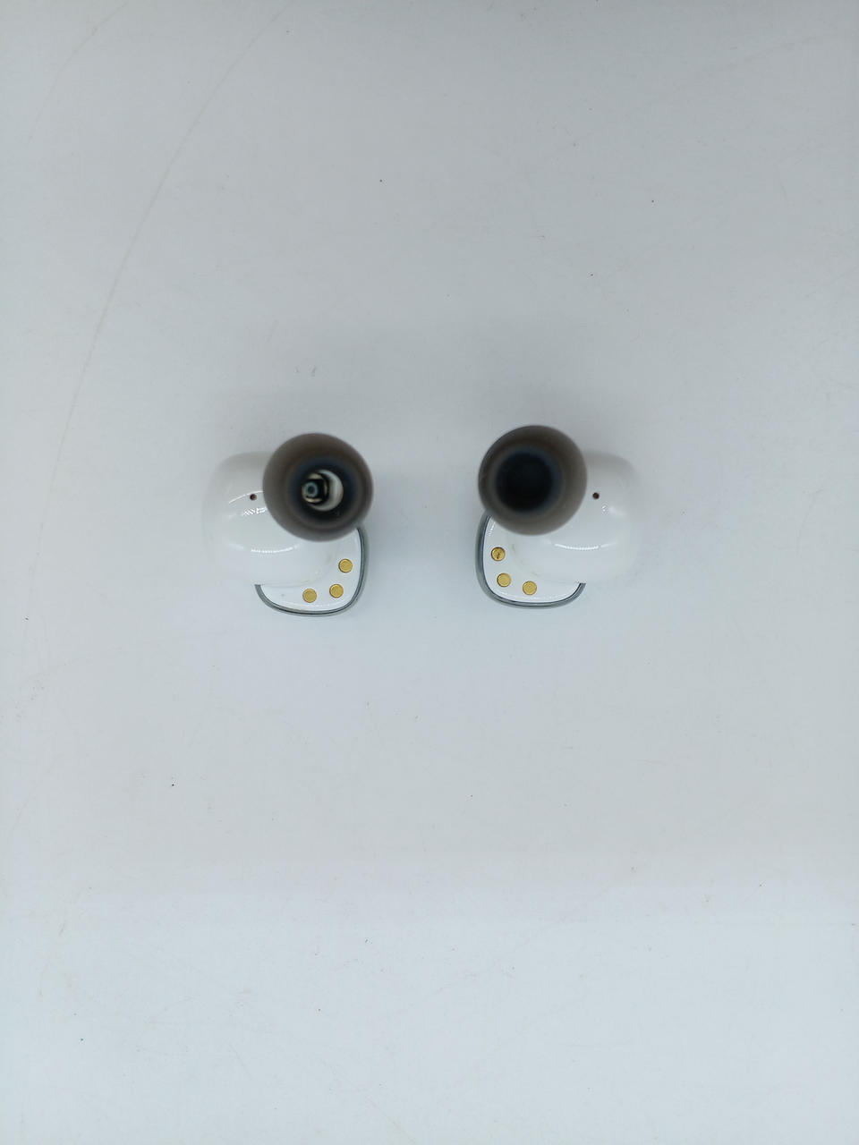 右耳(画像左)中の網がございません。