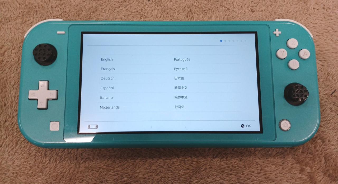 NINTENDO Switch Lite 美品 Nintendo Switch Lite グレー 本体 美品ジャンク品 Nintendo Switch