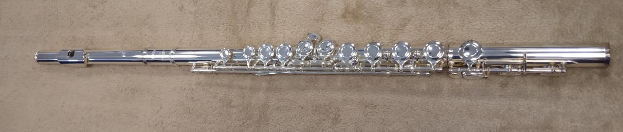 キズは見られません。