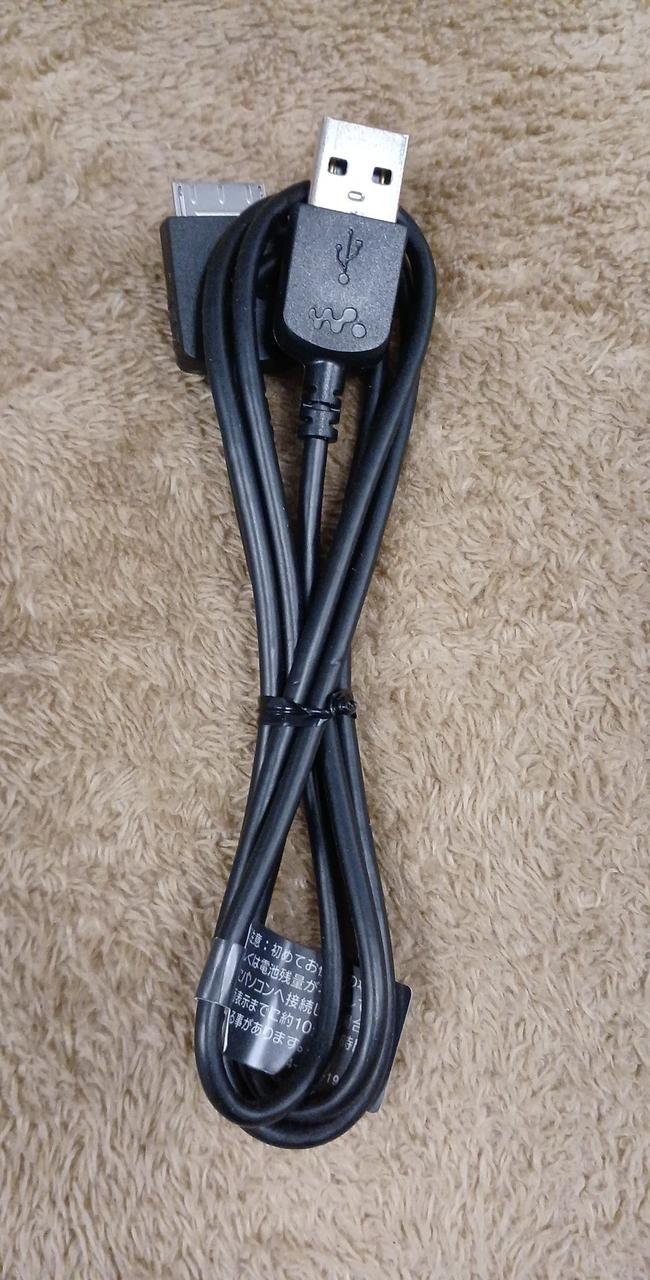 付属品はUSBケーブルのみです