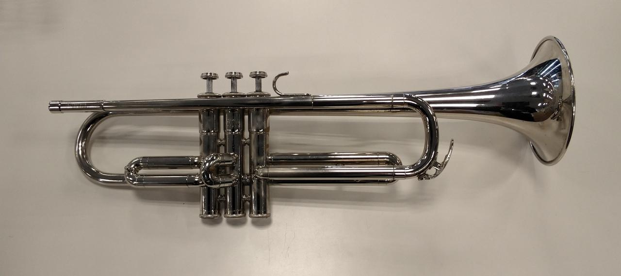 キズ、メッキ剥がれ、変色などがあります。