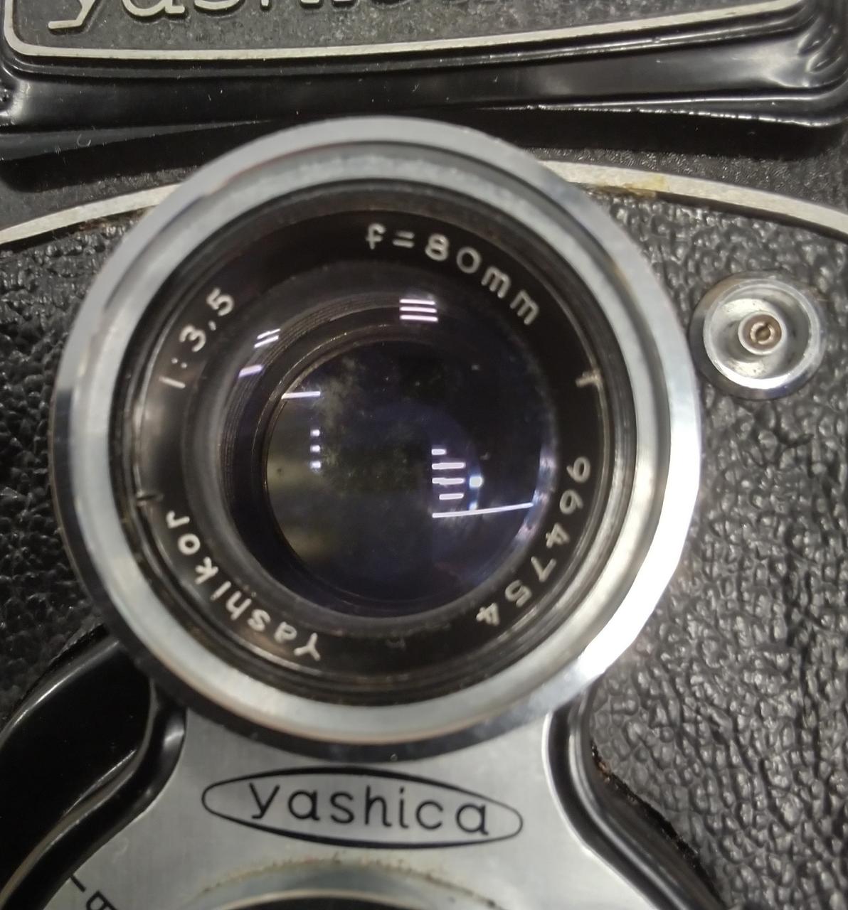 カビがあります。