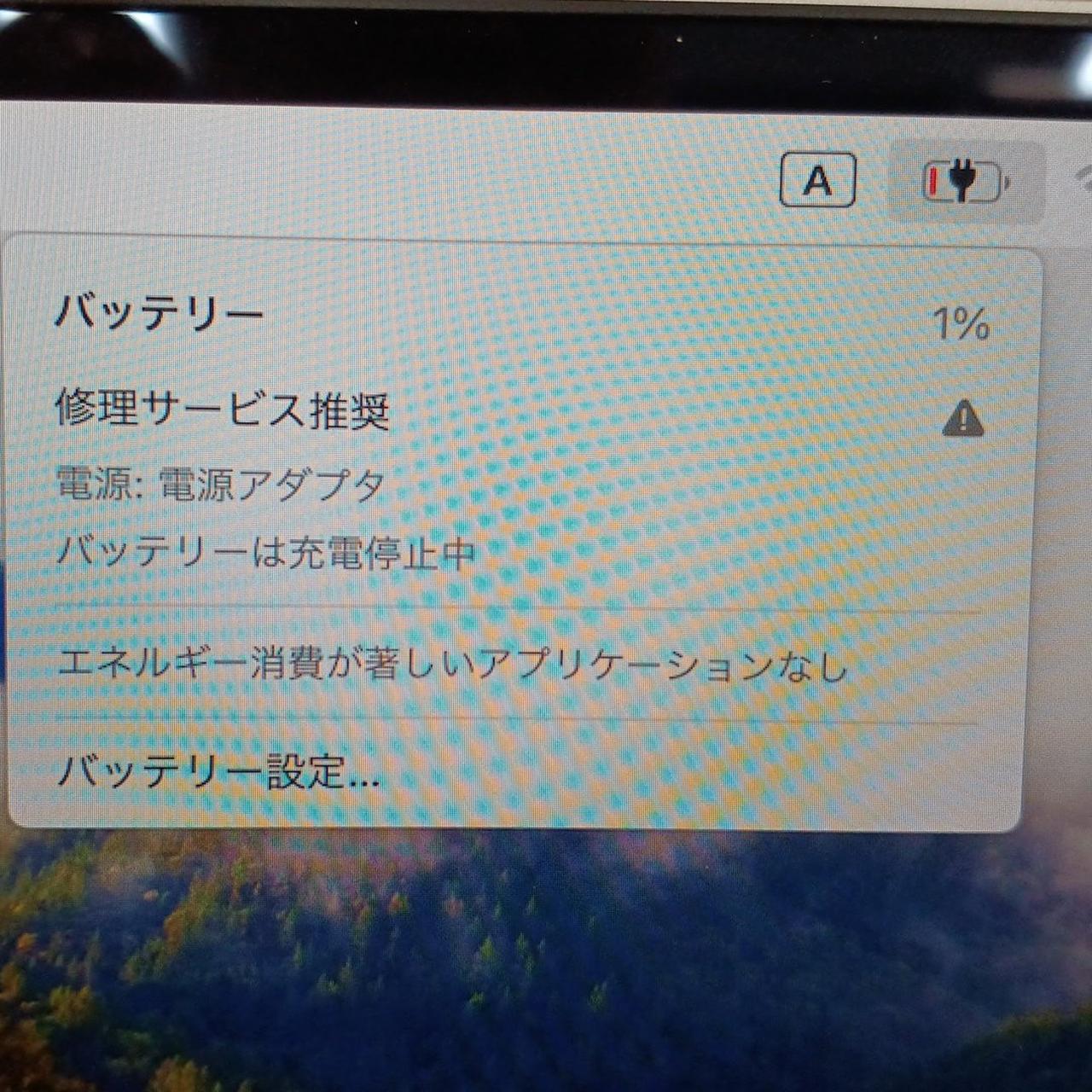 バッテリー状態難。1%から溜まりません。