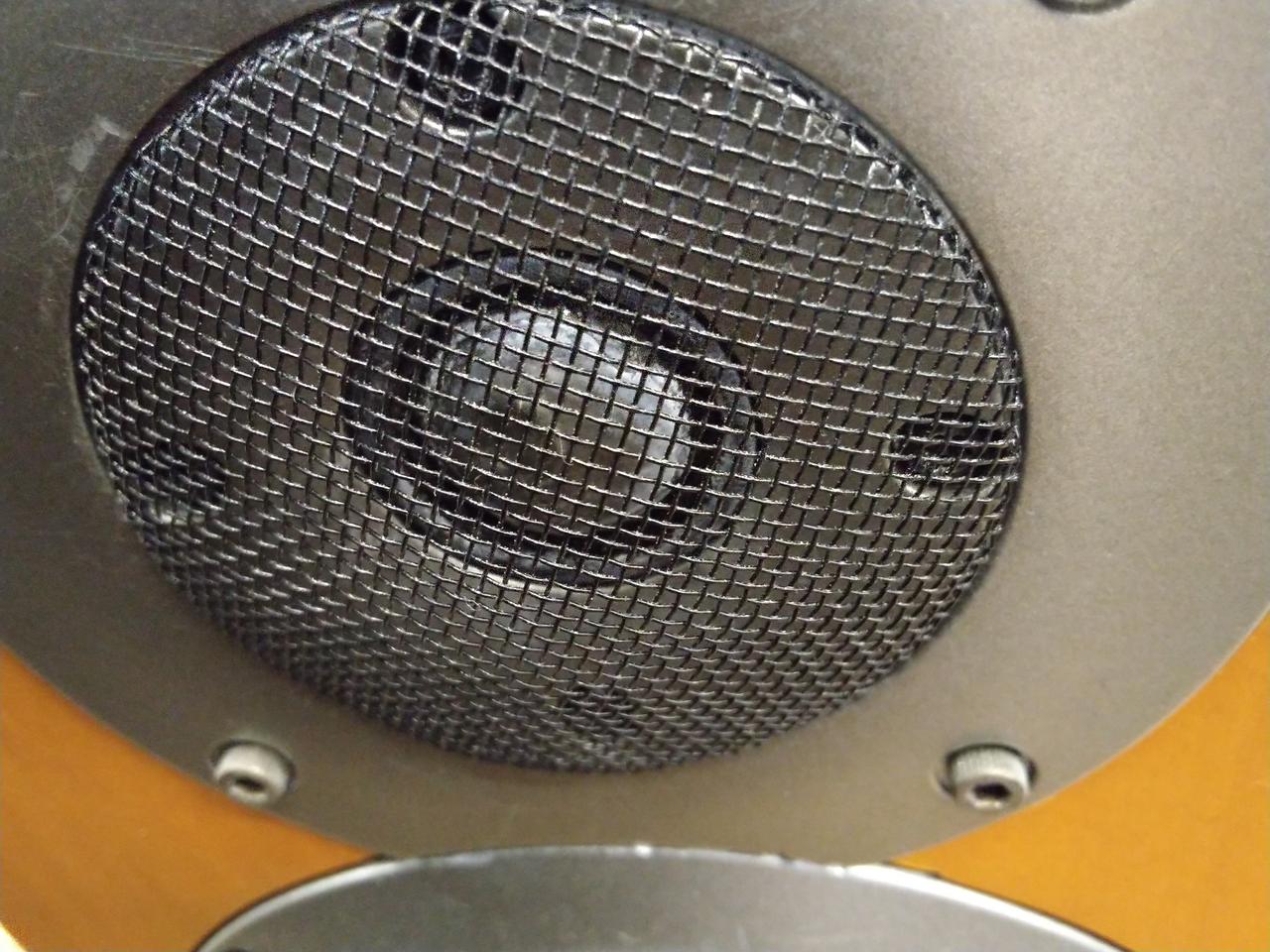 ツィーターが白く変色してます。