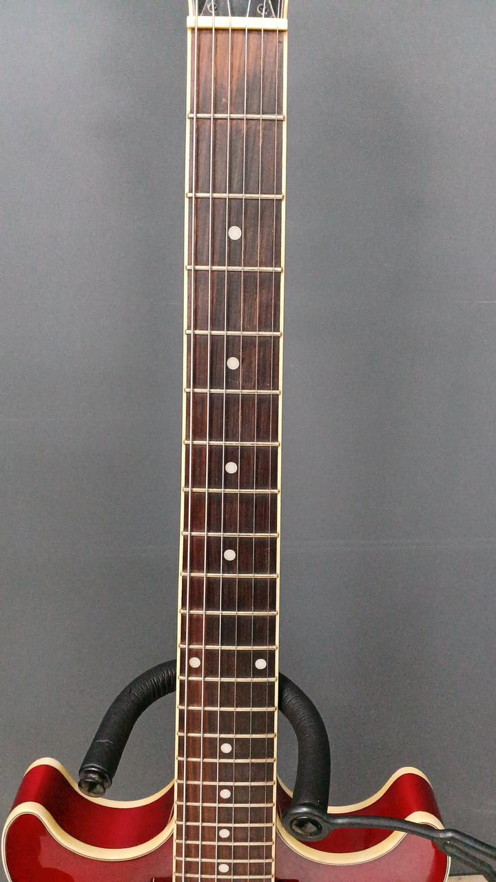 アイバニーズ(IBANEZ)|セミアコ|HARDOFFオフモール（オフモ