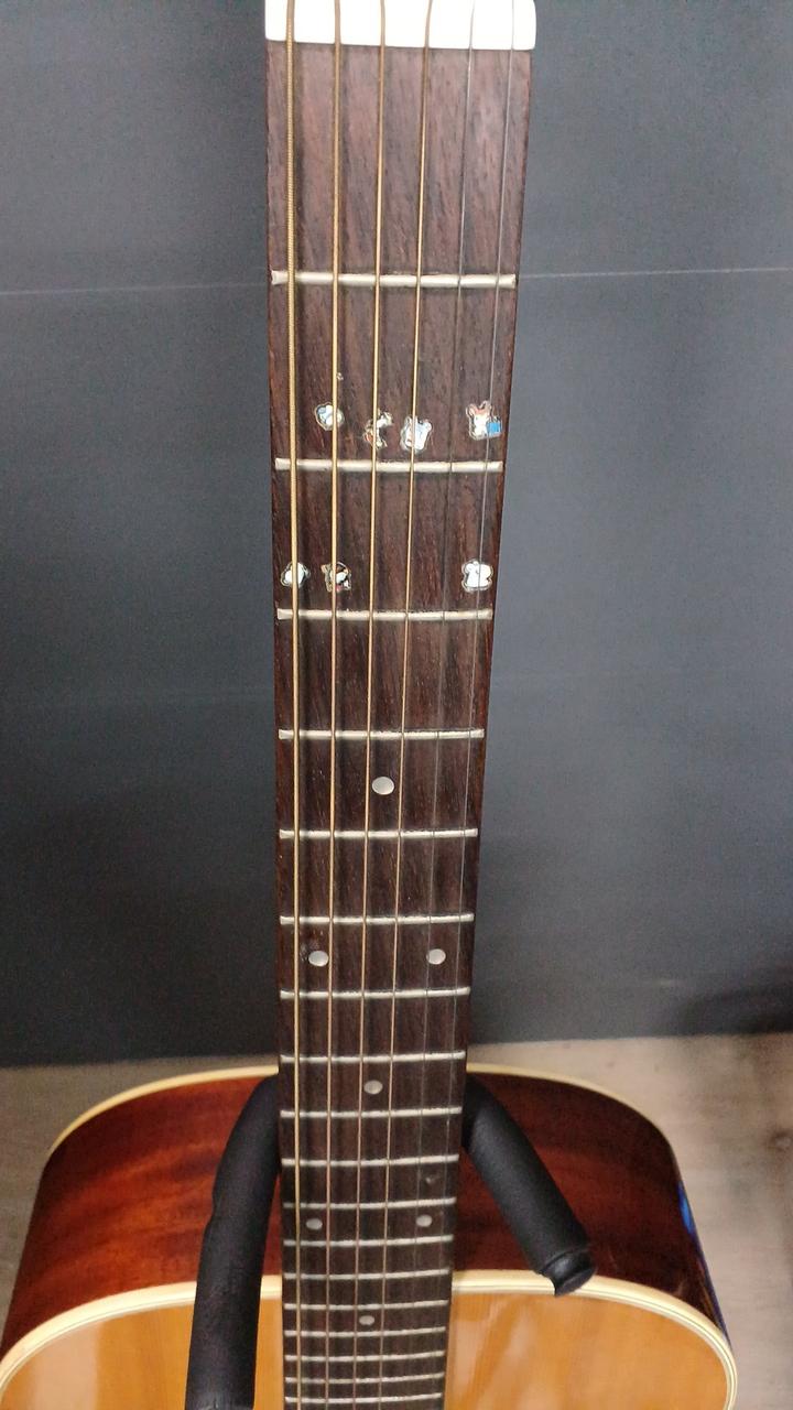 54美品！MORRIS モーリス アコースティックギター 楽天市場】Morris モーリス/アコースティックギター/W-50/907443