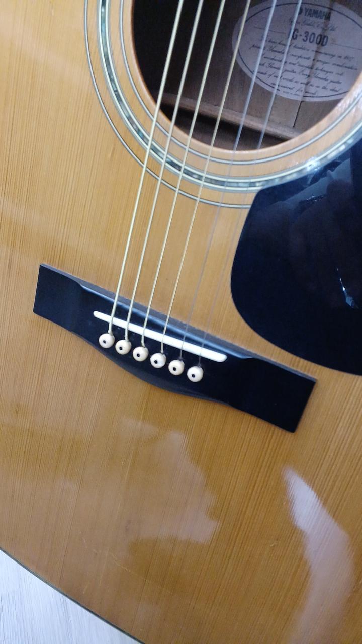 YAMAHA|アコースティックギター|【ハードオフ公式通販】オフモール