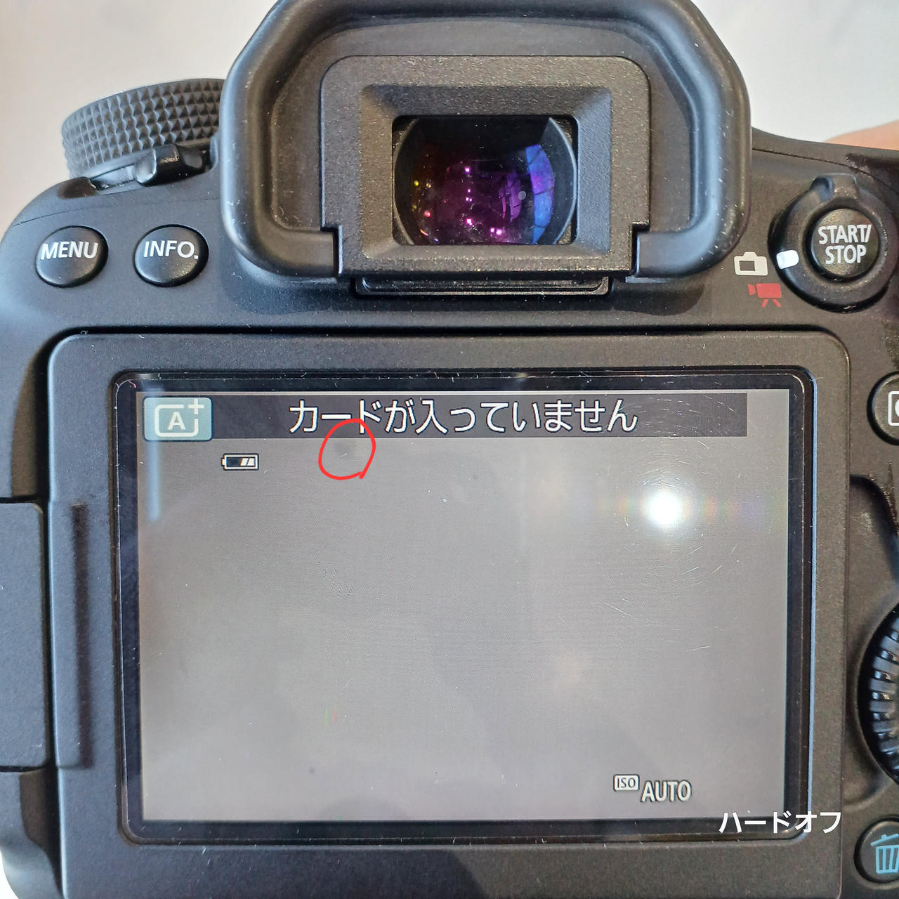 撮影に影響あるゴミ映り込む