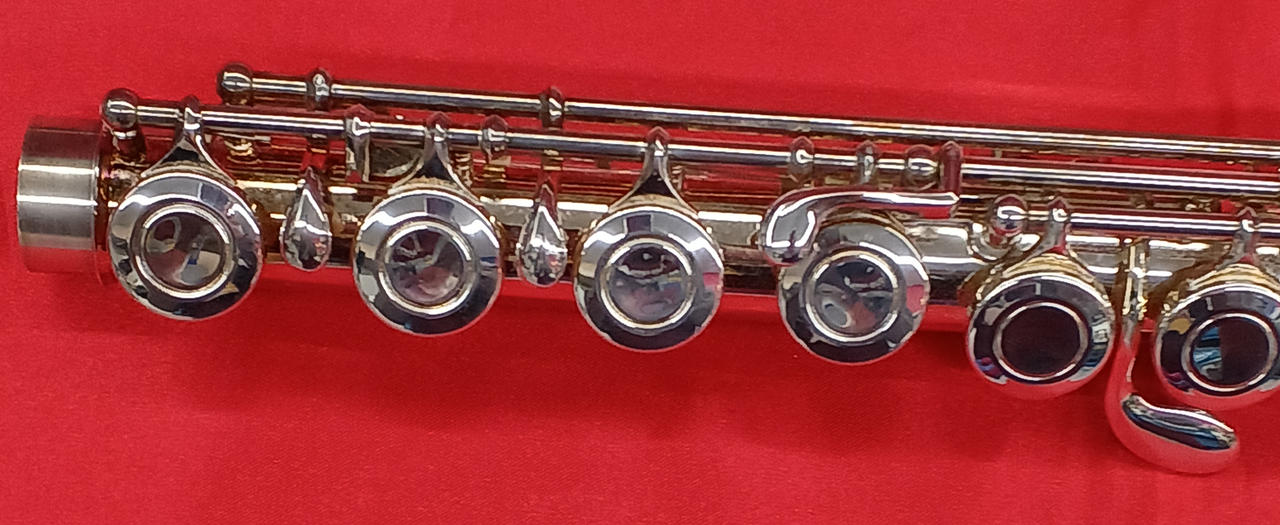 THE MARCART|フルート|HARDOFFオフモール（オフモ