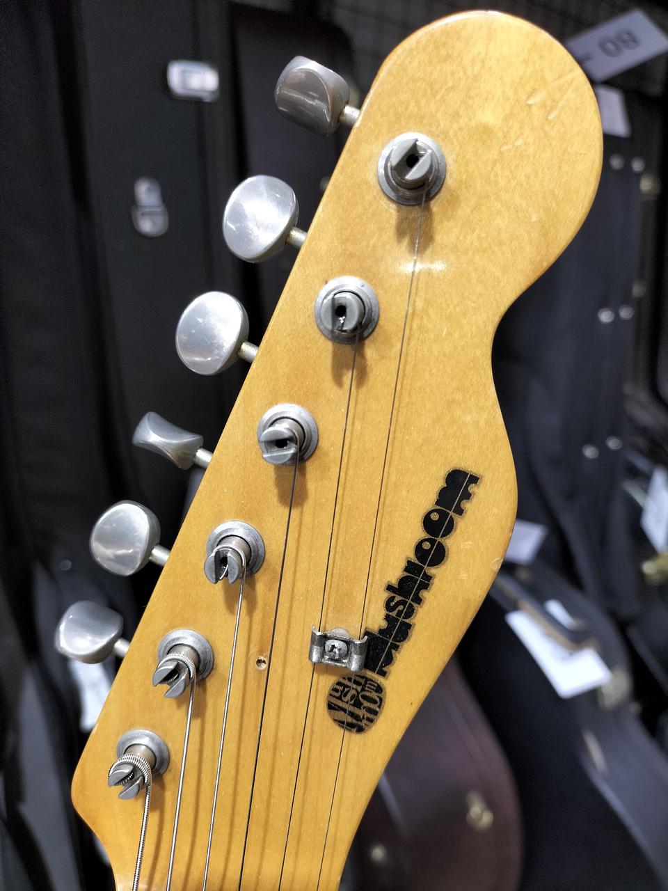 mushroom guitars マッシュルーム ストラトキャスター Yahoo!オークション - Mushroom エレキギター ストラトタイプ