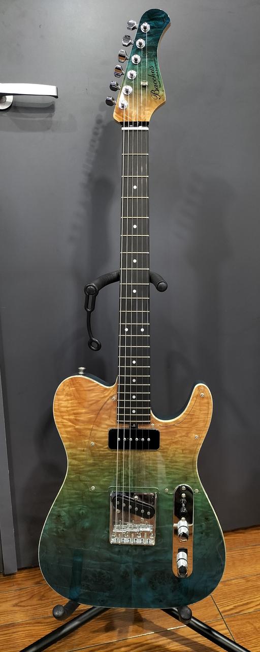 バッカス　エレキギターSINCE1994 ソフトケース付き エレキギター用ギグバック【Bacchus ED-10 Guitar Case