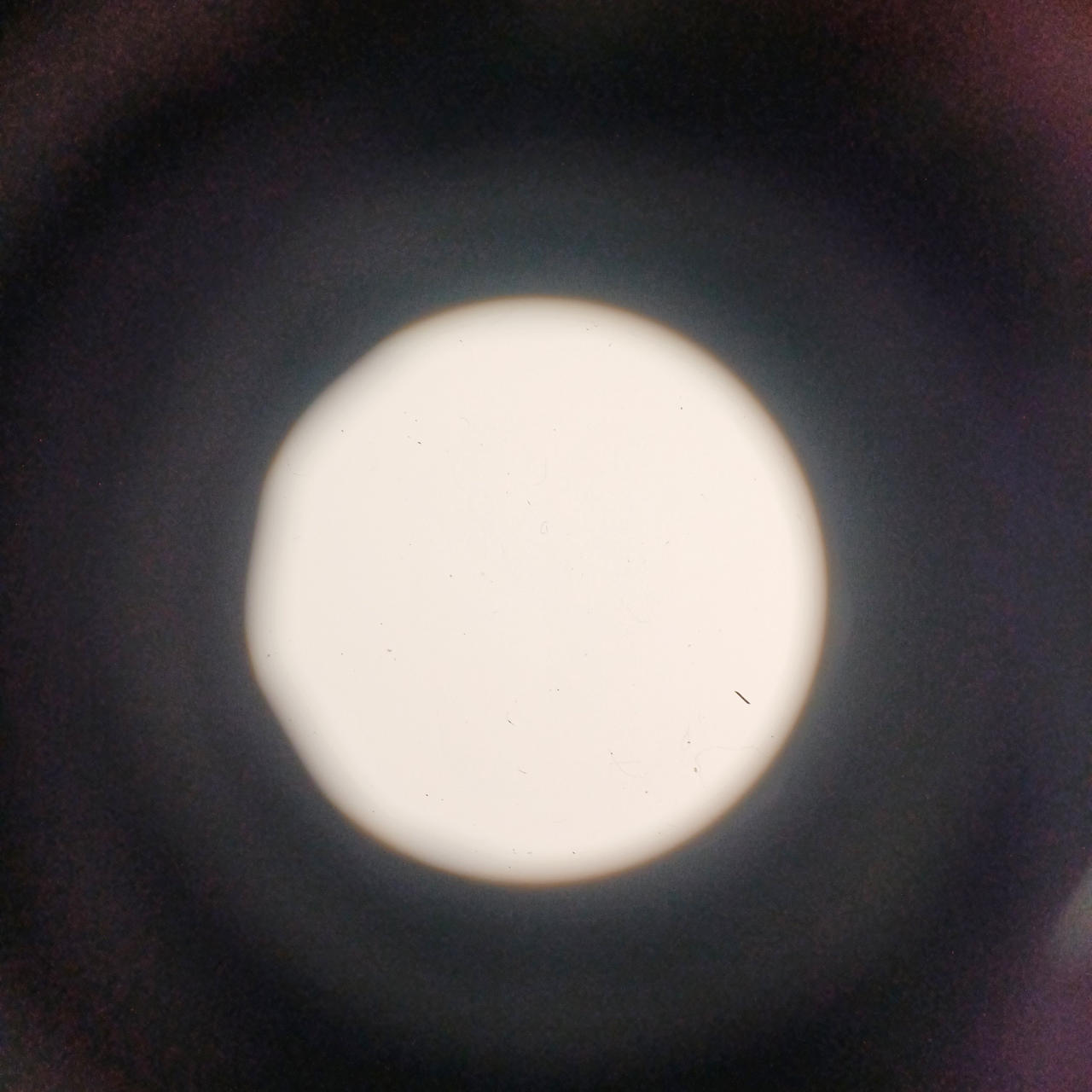 レンズ内に汚れがあります。