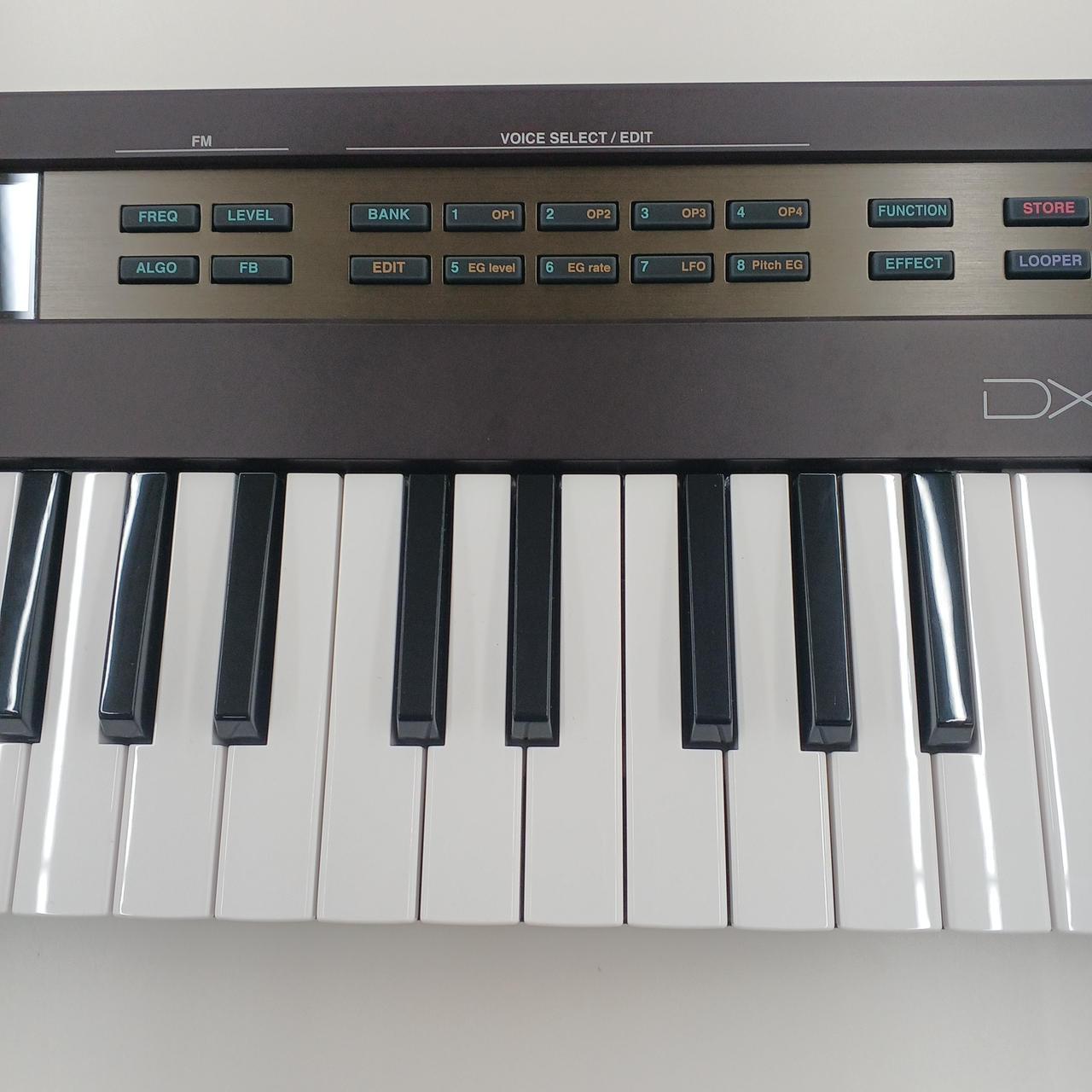 t*u様 シンセサイザー KORG OPSIX 37鍵盤 オプシックス FMシンセ コルグ | 島村楽器