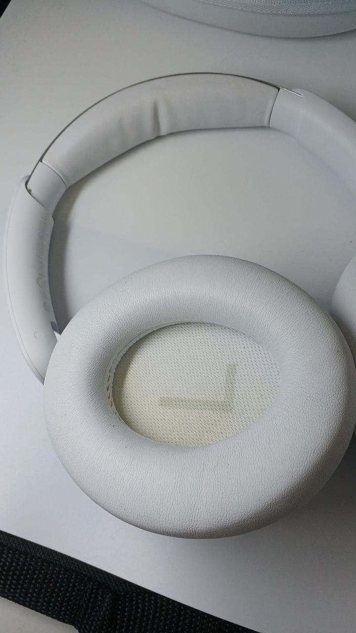 イヤーパット内変色あり