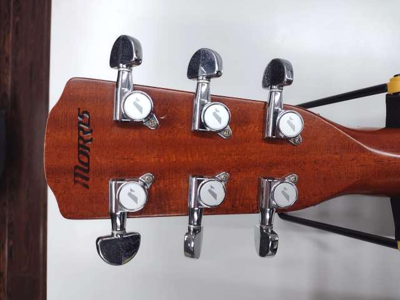 モーリス(MORRIS)|アコースティック|HARDOFFオフモール（オフモ