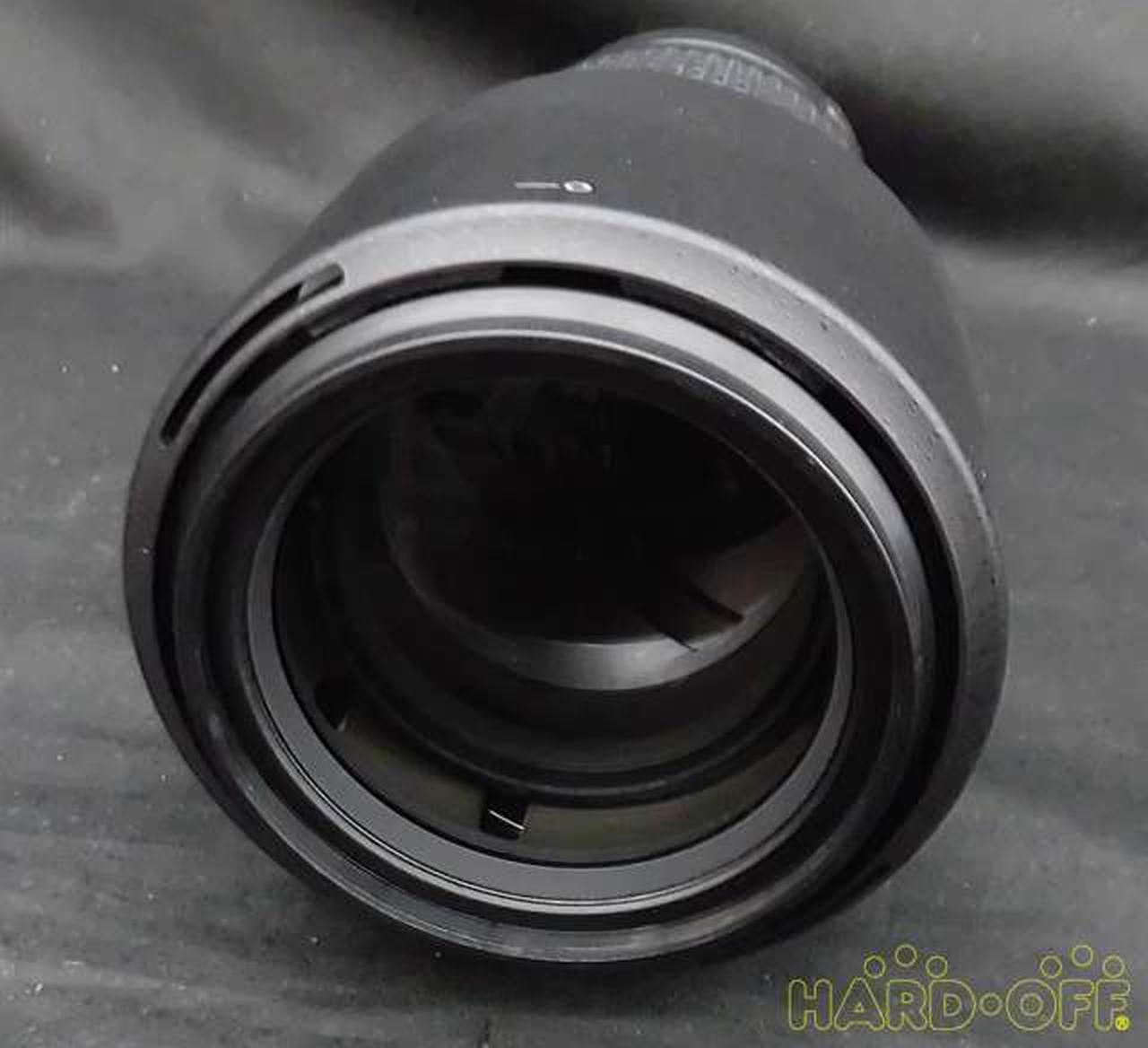 正面からの写真