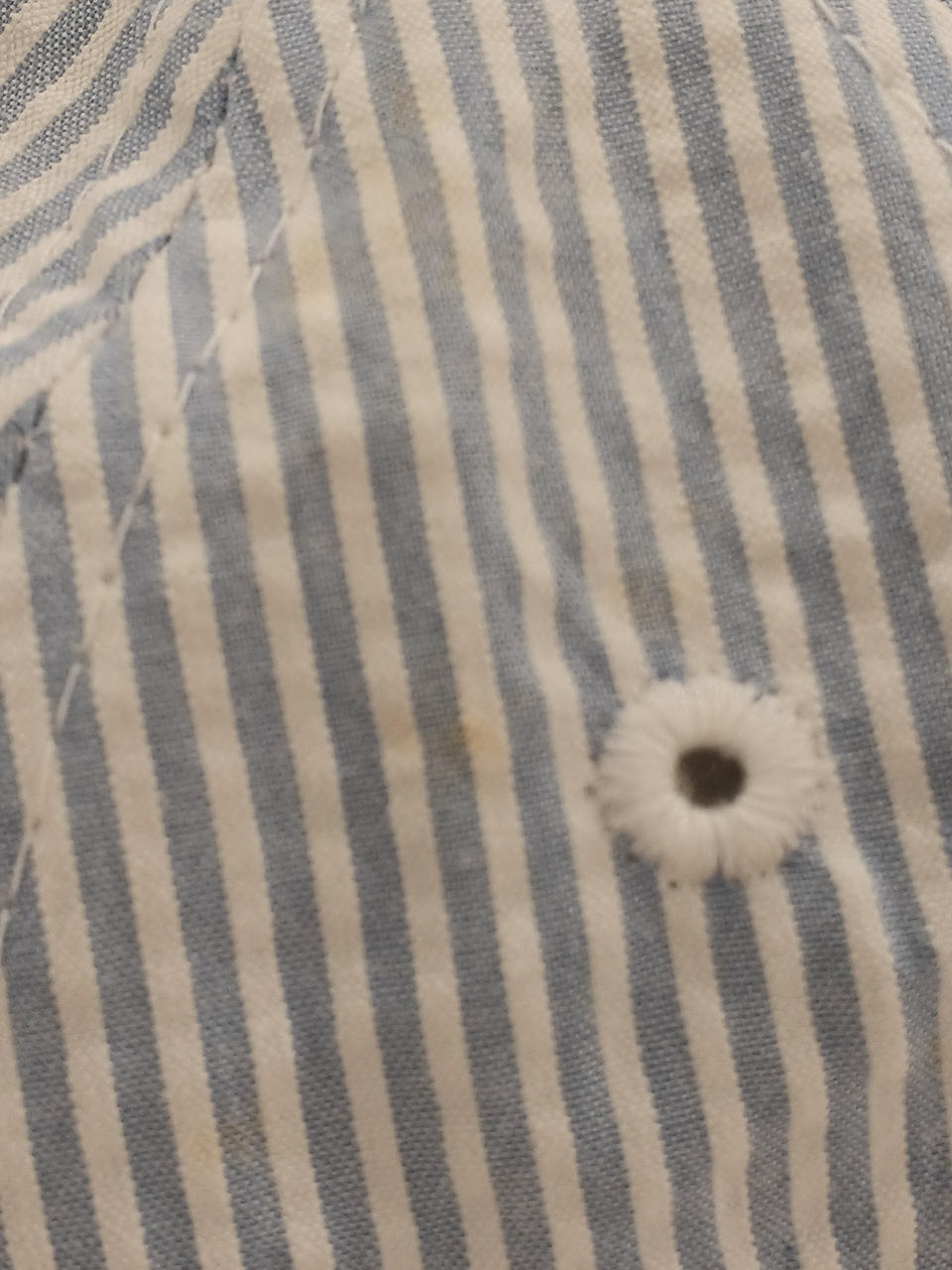 ところどころに黄シミあり