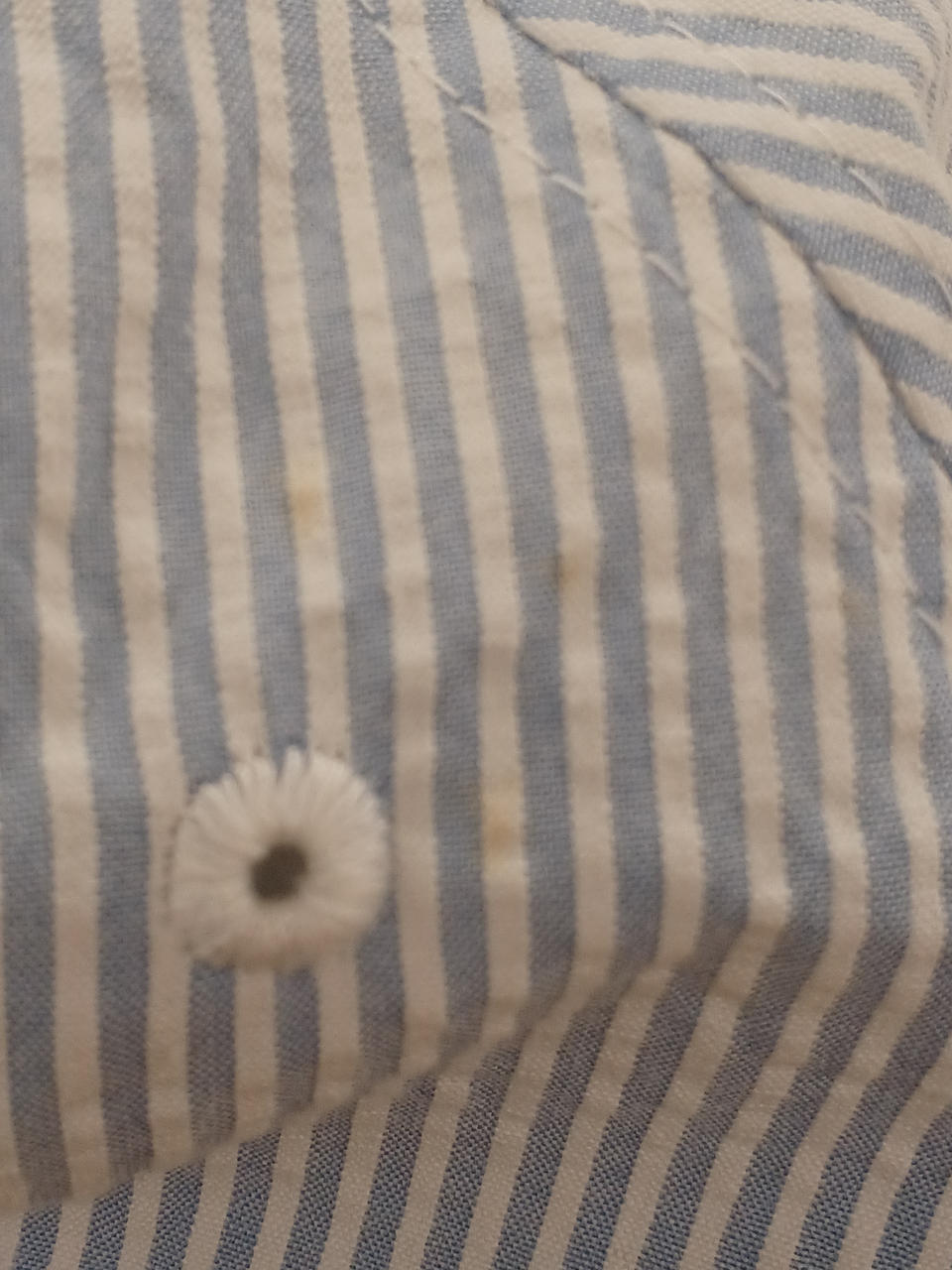 ところどころに黄シミあり