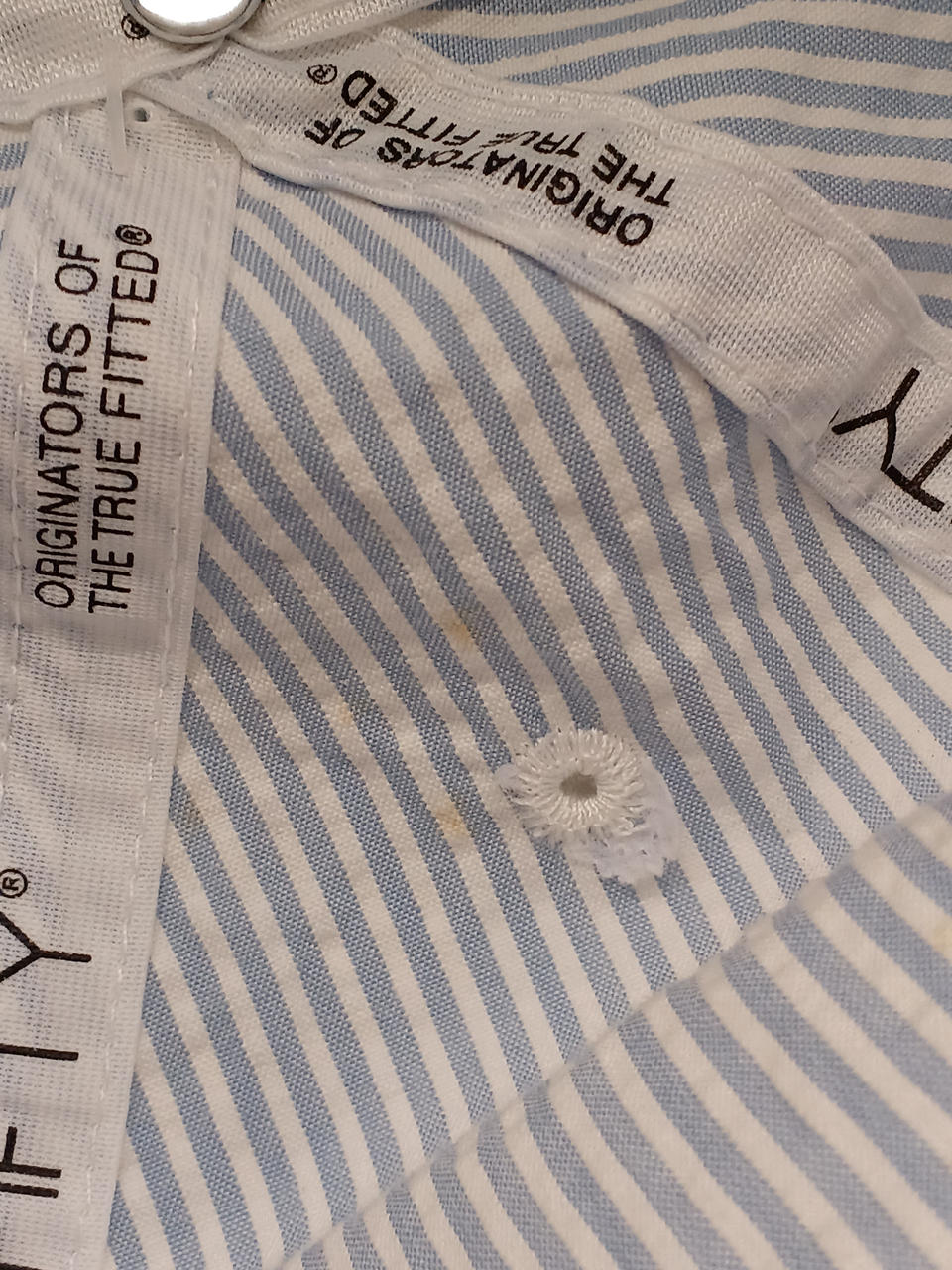 ところどころに黄シミあり