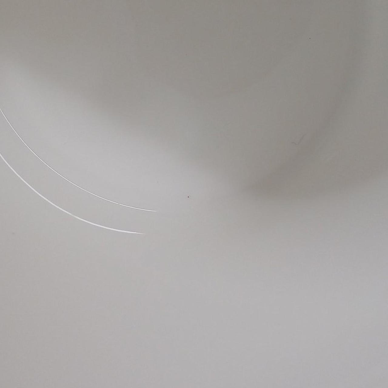 小さな黒い点があります