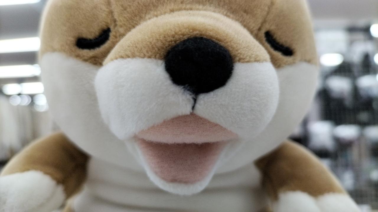 甘噛みしてくれました。