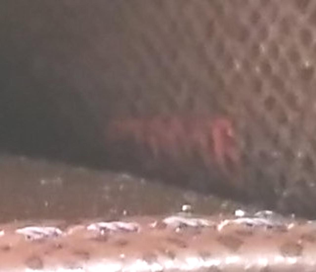 シリアルナンバー