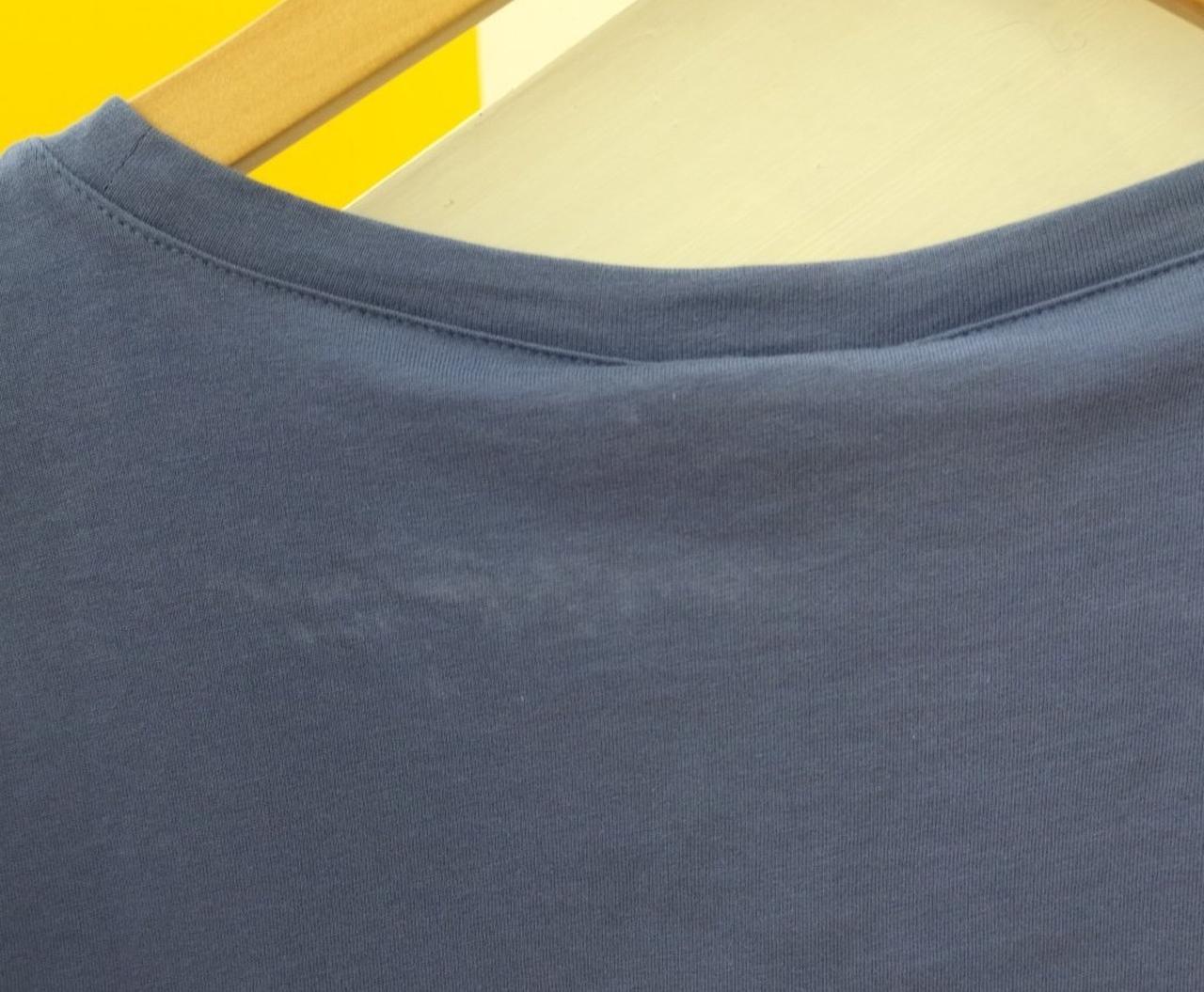 背中に色褪せあります