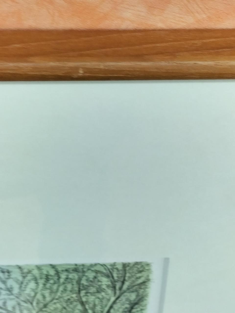 額,キズ汚れあります