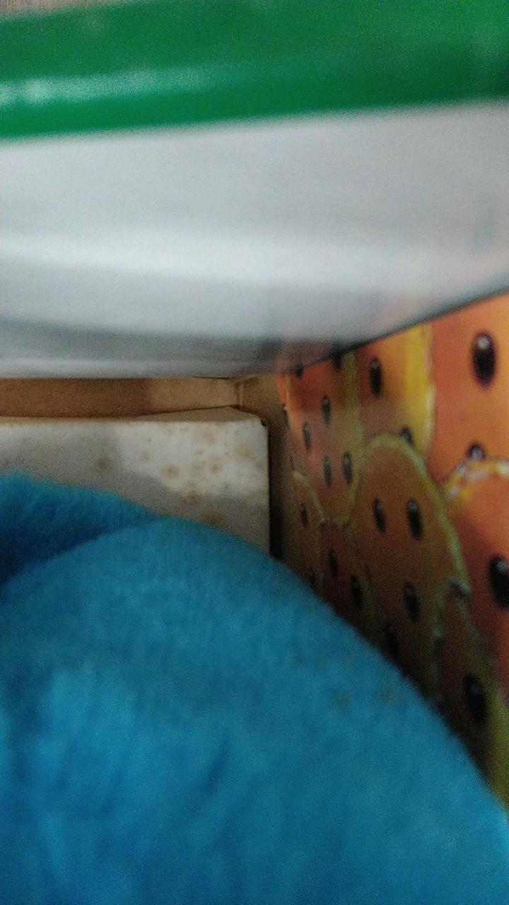 箱の内側シミ有り